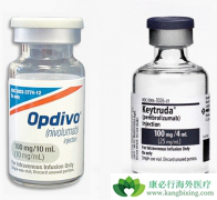 �ڹ������е�Opdivo��ŷ���֣���ȫ���һ��PD-1���Ƽ�