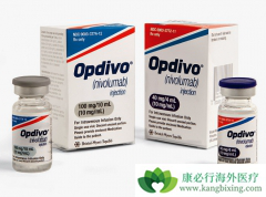 PD-1���Ƽ�Opdivo��ŷ���֣������������Ʒ�Сϸ���ΰ�����