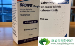PD-1���Ƽ�Opdivo��ŷ���֣���ʹ�÷�����Opdivo����������Щ��֢��