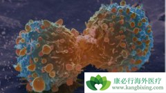 ����ҽ���·��ֻ��ܳɹ���ֹ��ϸ����ɢ