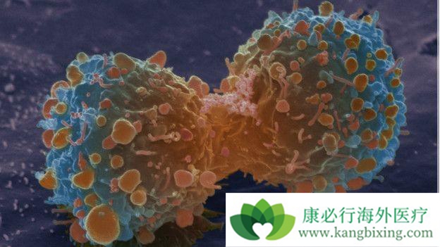 ����ҽ��