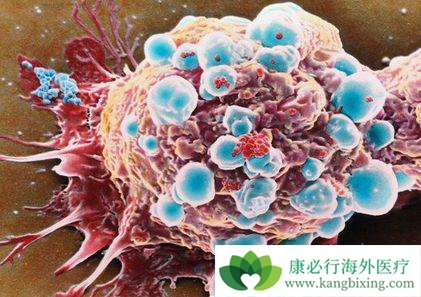 ����ҽ��