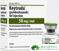 ��ķ������pembrolizumab���������Ʒ�Сϸ���ΰ���־÷�Ӧ
