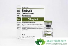 ��ķ������Keytruda���򽫳�Ϊ�������ٰ�������ϣ��