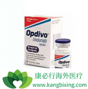 ���䵥��nivolumab�������ں�ɫ������ȫ�Ը�