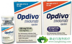 PD-1���Ƽ�nivolumabʹNSCLC����5������������4��