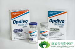 PD-1����nivolumab�����ڲ�����ҩ���ѳ������л���