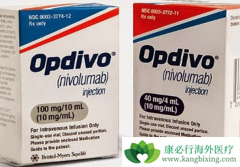 nivolumab�����ƻ�����ܰ�����1�������б��ֳ�ɫ