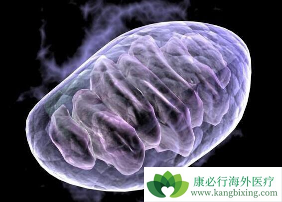 ����ҽ��