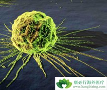 ����ҽ�Ƹ�����Ϊ�ΰ�ϸ������ó��桰׽�Բء�