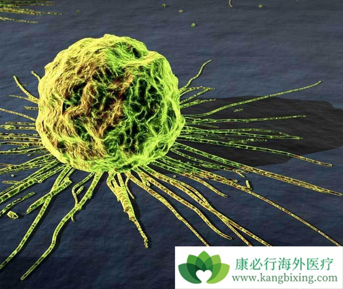 ����ҽ��