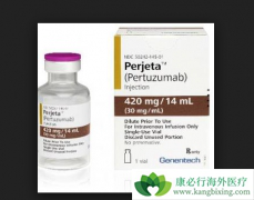 �����鵥�������HER2����ת�������ٰ���Ч