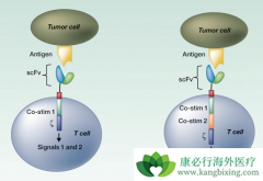 CAR-T�����Ʒ���ʲô���ƣ���Щ��֢���߿���ʹ��CAR-T�Ʒ���