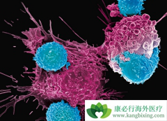 CAR-Tϸ���Ʒ��и�������CAR-Tϸ�������ڼ�Ӧע��Щʲô