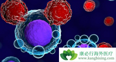 CAR-Tϸ���Ʒ�����ι����ģ�һ��CAR-Tϸ���Ʒ���Ҫ�೤ʱ�䣿