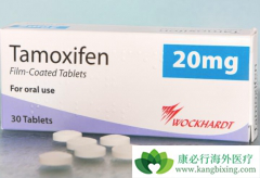 ��Ī�����и���������Ī��������Щ�ŵ�