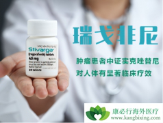 �������������ǰ�������������ƹ��ĸ�ϸ��������