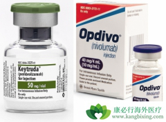 ʲôʱ��ʹ��pd-1�������ư�֢�����