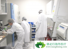 ��ѪҺ������CAR-Tϸ�����ƻ�����������ĵ����ƿռ�