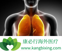 �������ᣨGILOTRIF������������ת�Ƶķΰ�������