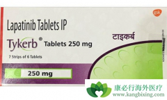 ��������(TYKERB)����ô������?��ʲô������