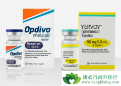 PD-1�����CTLA-4��������Щ����