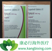 �������ᣨTYKERB������HER2+θ��������Ч����