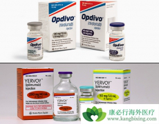 PD-1��������CTLA-4�����ٴ�����Ч����ô����