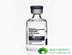 Keytruda��Ϊ�׸���������������Bϸ���ܰ�����PD-1�����Ʒ�