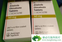 ��������GILOTRIF�������ڷΰ���III����������