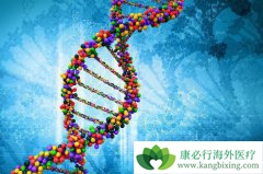 ����ҽ�ƻ��������Ϊ���϶�ͯ�ṩ���Ի�����