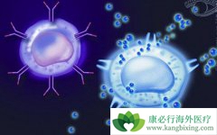 ����ҽ�Ʒ������˵�����ϸ��Ҳ�����������Լ��İ�ϸ��