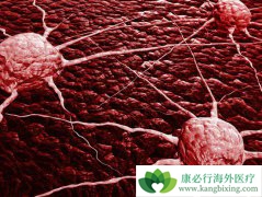 ����ҽ�����о��ɹ��ð�ϸ����ֹ����ǰ��