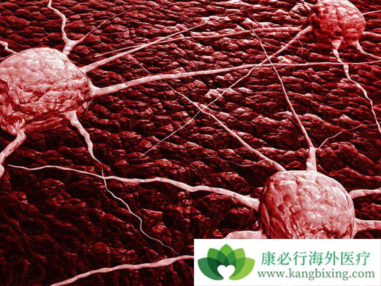 ����ҽ��