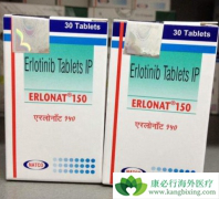 �����߶������ᣨERLOTINIB���������ڷ��ٰ����ߵ�������