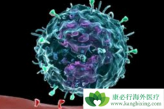 PD-1���Ƽ�Opdivo�������ڸΰ��ĳɹ����Ƕ���