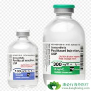 ̽Ѱ��ɼ����paclitaxel������������һ�߿���ҩ��Ĺ���