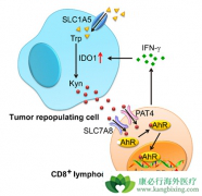 PD-1����Keytruda�뻯���������Ƽ���೤ʱ��Ч����