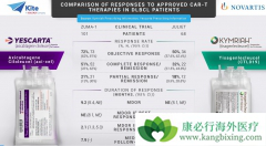 CAR-Tϸ��������һ�������ڴ�ͳ��֢�Ʒ������ͻ������Ʒ���