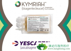 �й�Ŀǰӵ�д�����CAR-Tϸ����������о�