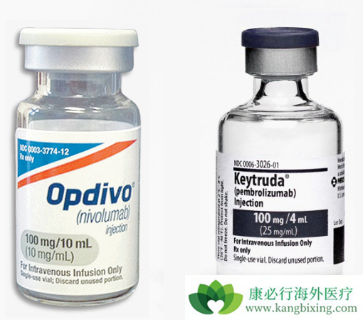 Opdivo