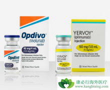 PD-1����ŷ����(Opdivo)��Ϊ�ҹ��ΰ������ṩ�µ�����ѡ��