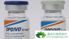 Opdivo��ŷ���֣����ҹ���׼���׸���PD-1Ϊ�е�ĵ���ҩ��