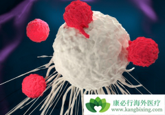 ˫������CAR������ǿCAR-Tϸ���԰�֢������Ч��