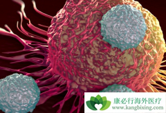 �����о�������CAR-T�Ʒ����ı䰩֢�����Ʒ�ʽ