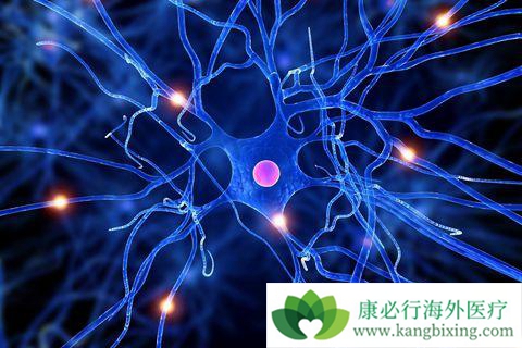 ����ҽ��