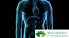 ����ҽ�Ƹ�����Ϊ�η��ٰ��ܹ����Ƹ���Ľ�����