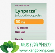 ���׼������Ȱ�������(Olaparib)�к�������