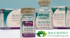 �����鵥��(Bevacizumab)������NSCLC�ٴ������е�Ӧ��