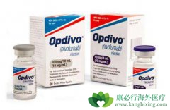 PD-1���Ƽ�KEYTRUDAʹ�ÿ��ӳ����ڻ���������